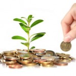 Investment